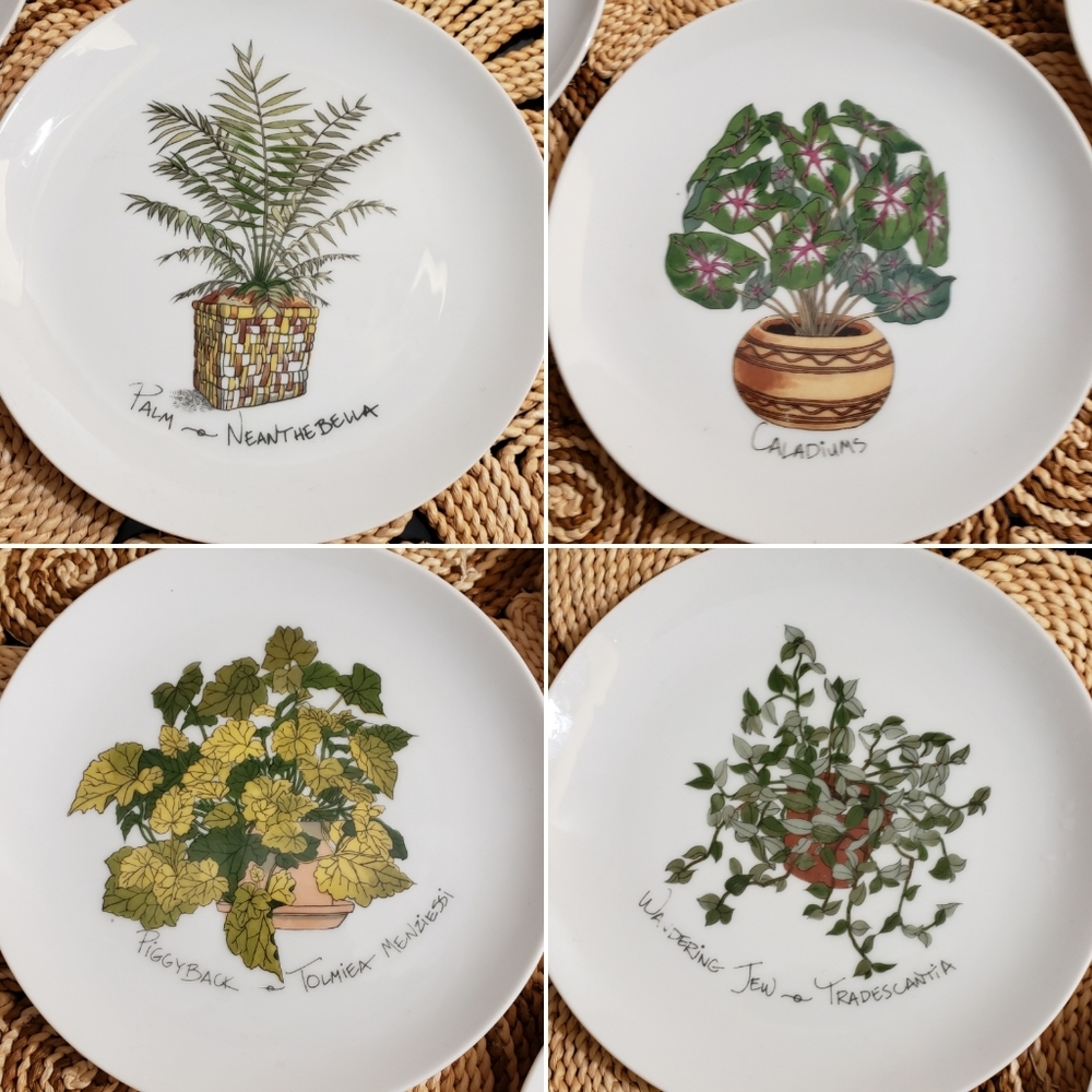 Enesco | Vintage Plant Study 1975 houseplant plate - Picture 7 of 8